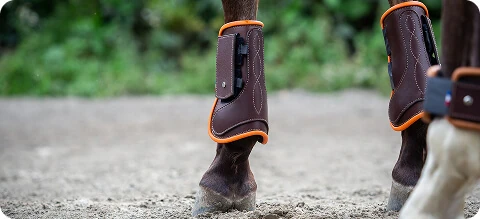 Les accessoires pour cheval et cheval de trait cousus main chez Sellerie Lefeuvre, artisan sellier au Haras de Lamballe