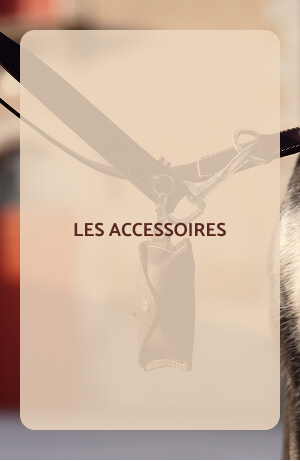 Accessoires