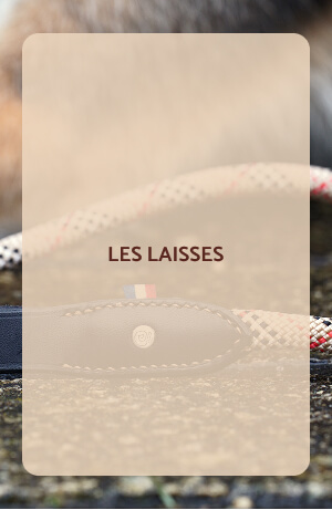 Laisses